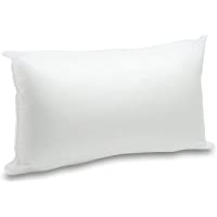 2 Rellenos cojines sofa hipoalergénicas para funda cojines decoracion y para almohadas de cama (30x50)